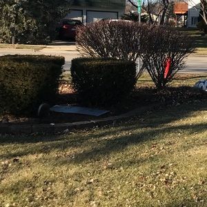 Meet your Posher, Corinne